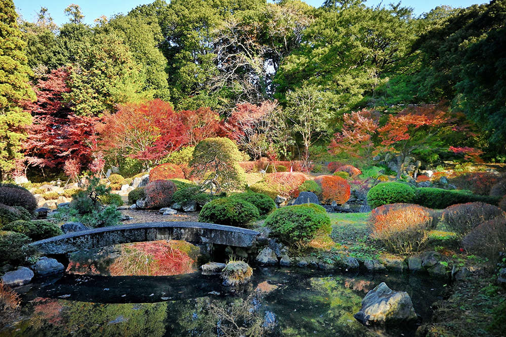 紅葉が美しい秋の庭園の様子（写真提供：cocre鶴川）