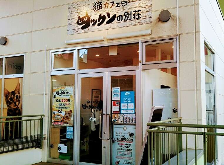 ネコちゃんと遊びたいなら コックンの別荘 へ 小田急のくらし 小田急不動産株式会社