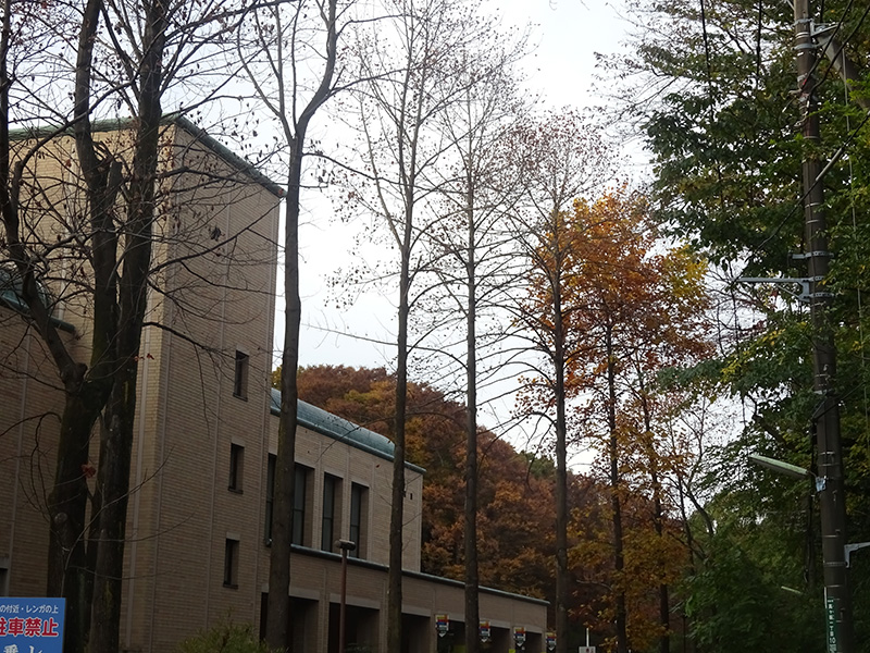 全国で一つしかない素敵な国際版画美術館！