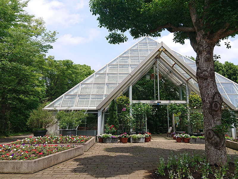 近場の癒しの空間の画像