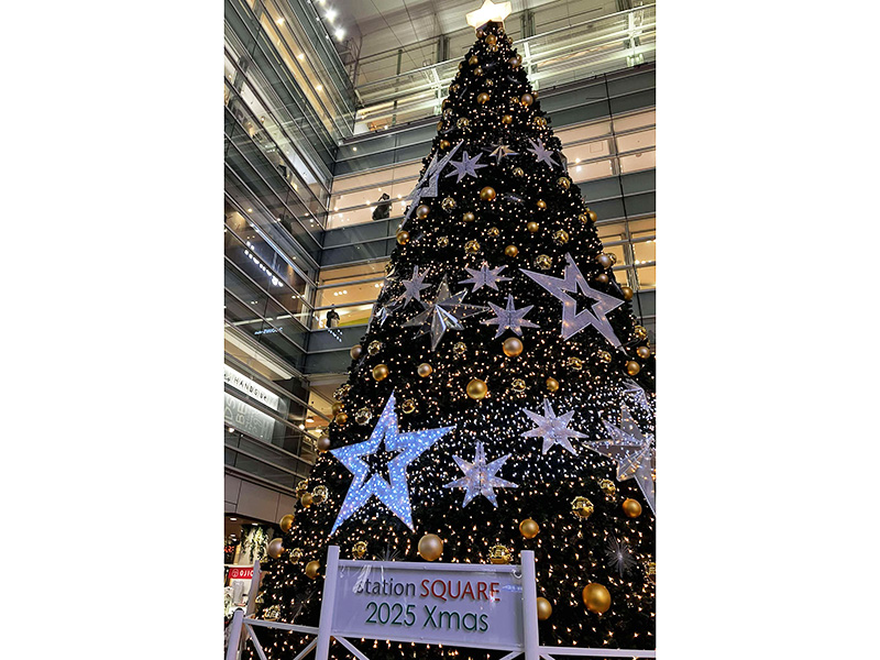 今年もキラキラした光を放つイルミ―ネーション