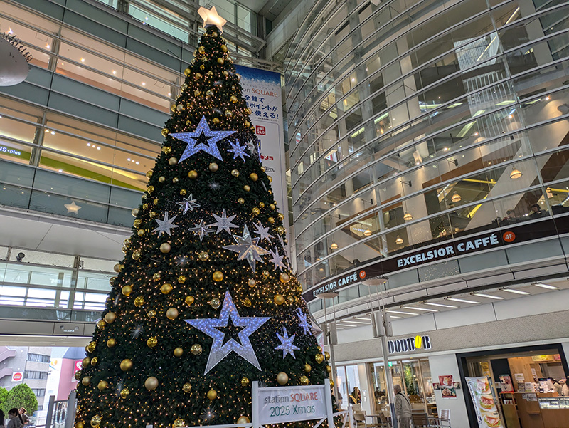 この季節がやってきた！の画像