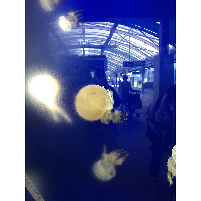 「沿線のおすすめスポット写真」フォトコンテスト