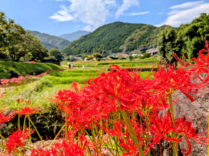 「沿線のおすすめスポット写真」フォトコンテスト