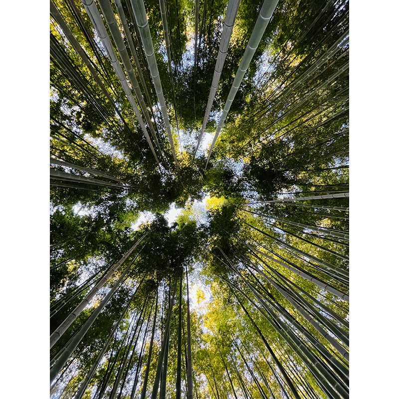 「沿線のおすすめスポット写真」フォトコンテスト