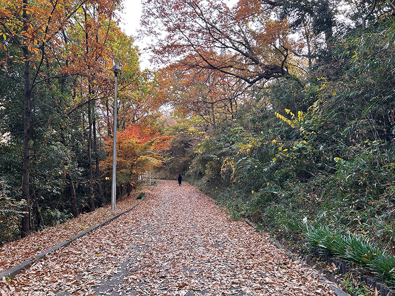 自然豊かな万福寺さとやま公園