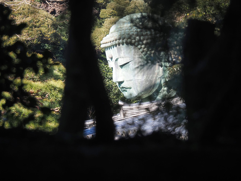 秋冬限定？のご尊顔