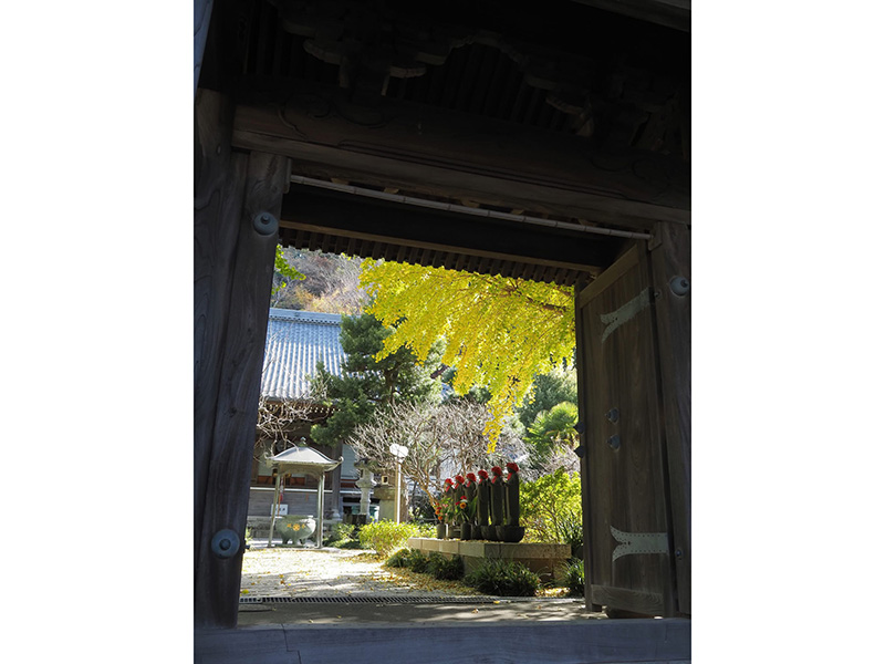 お地蔵を輝かせる黄葉