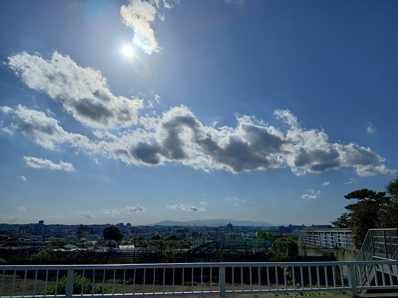知る人ぞ知る　成城の散策路