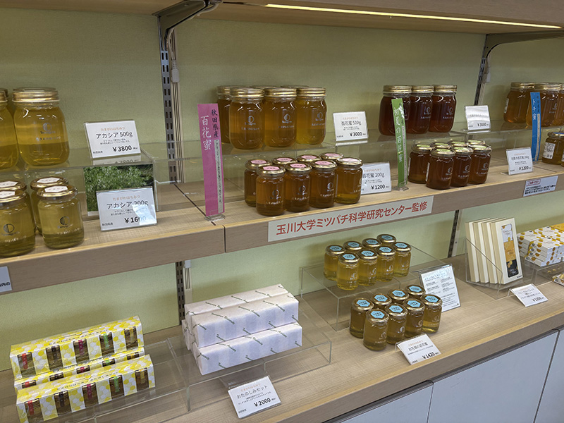 玉川学園のcampas store