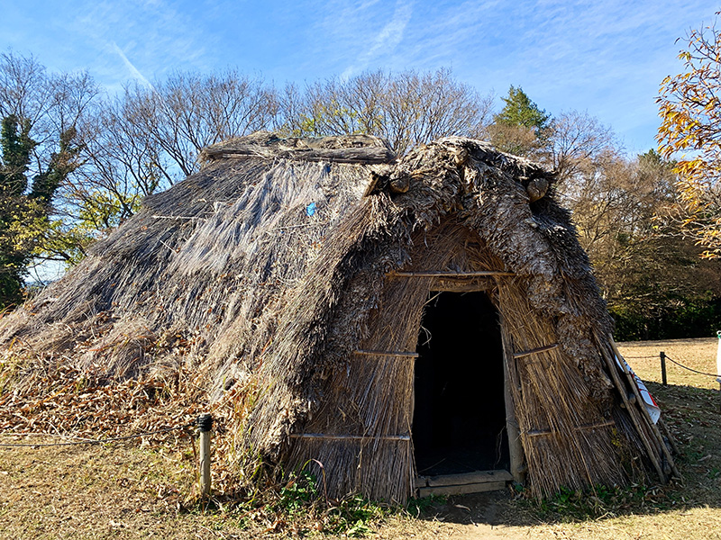 笹葺き式の竪穴式住居