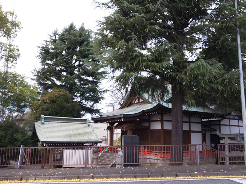 厚木市散歩　昭和橋から依知神社　大イチョウ