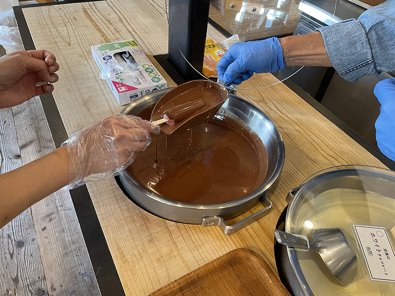 至高のアイス　濃厚なチョコレート