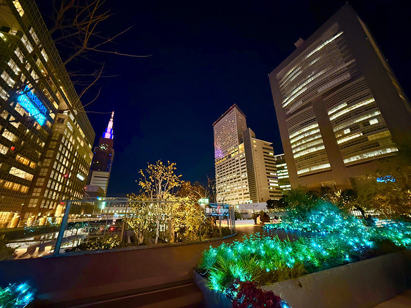 ディナーで迷わない！ 新宿・代々木エリアで今夜行きたいお店10選