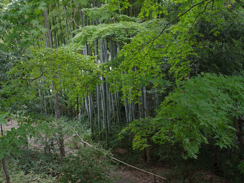 日本の古き良き景色に思いをはせて－連載４