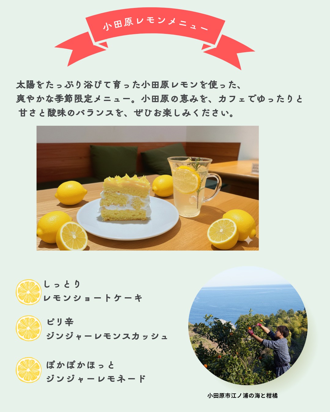 ＼2/28(土)開催／小田急沿線の「好き」が集まる1日！「小田急のくらしテラス」in 栗平