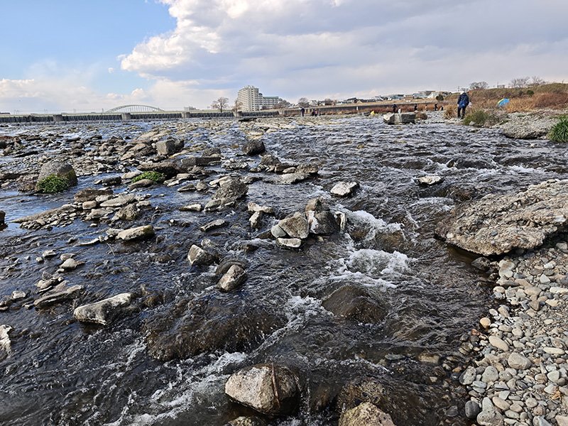 狛江で発見された130万年前の化石「コマギュウ」