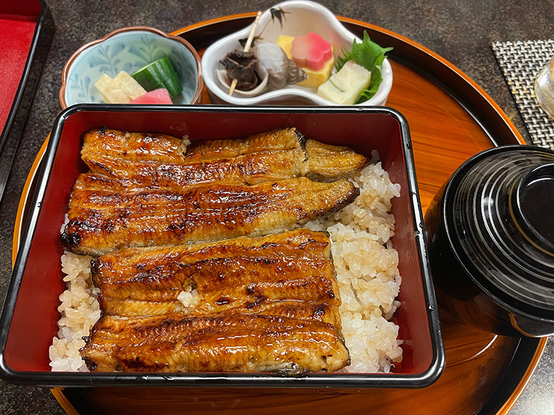 和料亭　春駒　鰻たべるならこちら