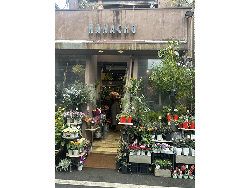 植物園のようなお花屋さん