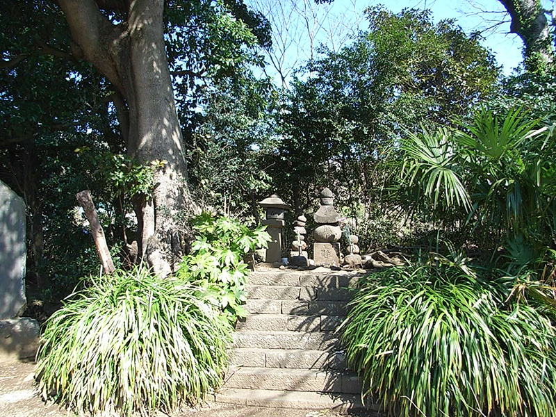春を迎えた実朝（さねとも）植物歌苑