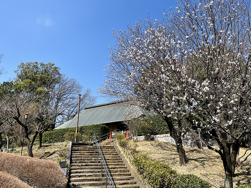 梅や桜が美しい「一本杉公園」は古民家や歴史的な古道も楽しめる