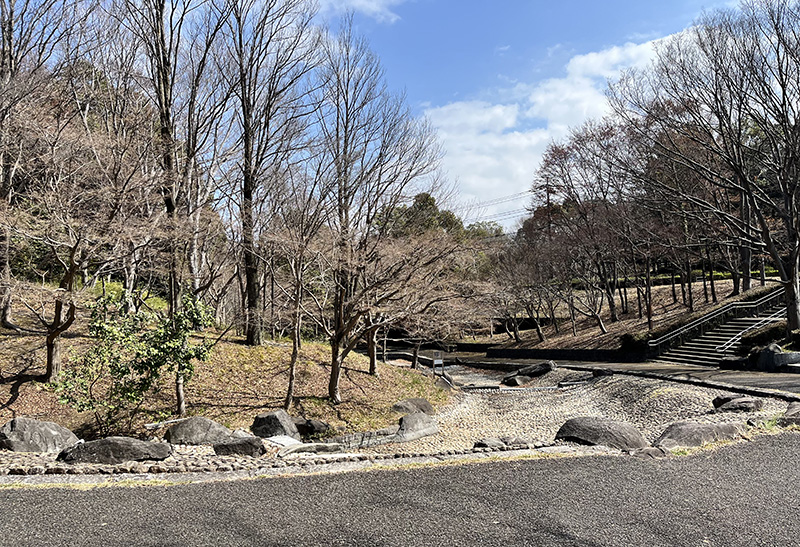 夏場には水が流され水遊びができる人気の小川