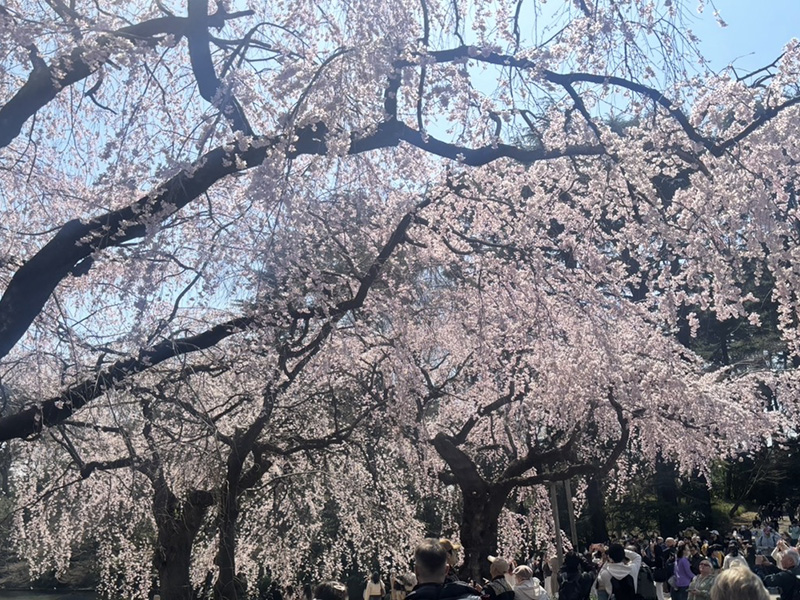 大都会のオアシス