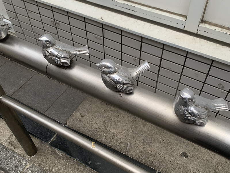 探そう！ピコリーノ（仮名称）