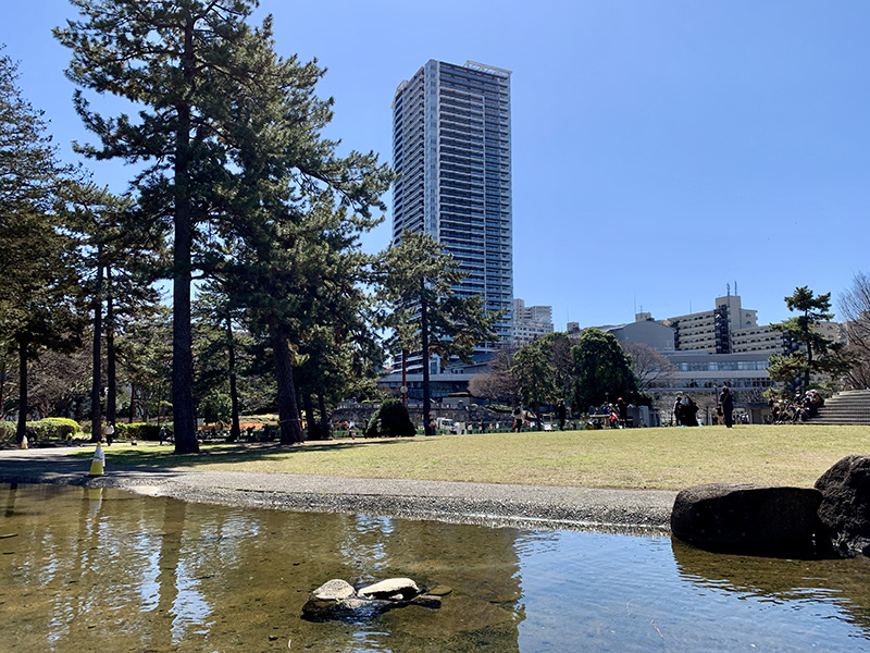 緑のオアシスとカフェが楽しめる「相模大野中央公園」