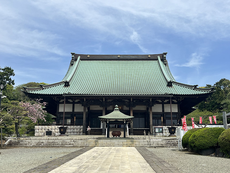 ツツジや藤の花などが咲き誇る藤沢の遊行寺