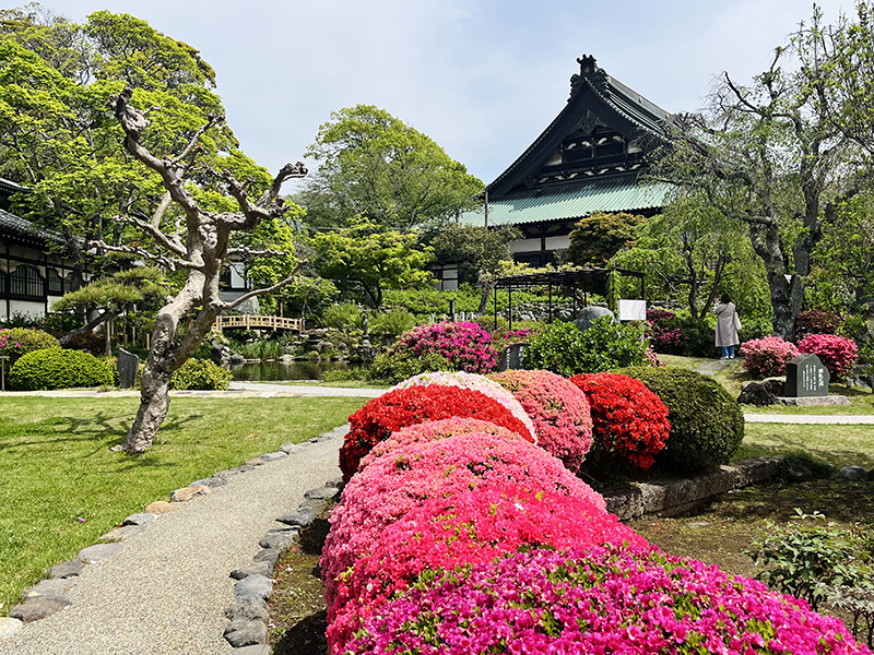 ツツジも美しい庭園と池
