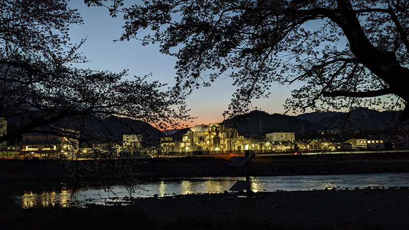 【新松田・開成】南足柄市　酒匂川の文命堤の桜トンネル②／古民家ガーデン紋蔵さん投稿