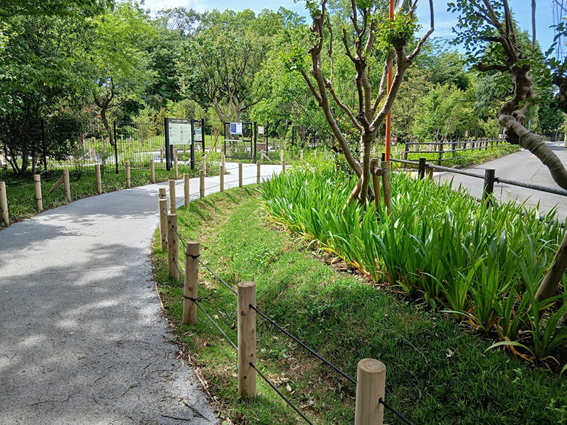 ４月にオープン、成城の新しい散歩道