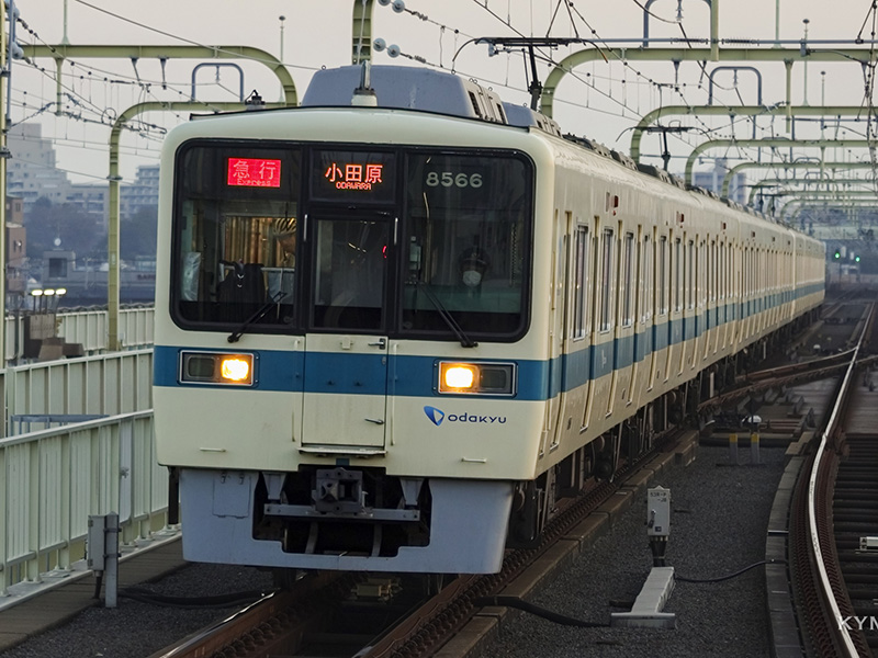 登戸〜和泉多摩川を散策
