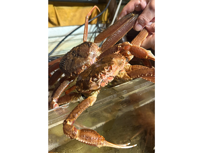 普通じゃない海鮮居酒屋