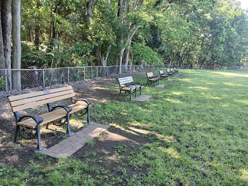 砧公園の思い出ベンチ
