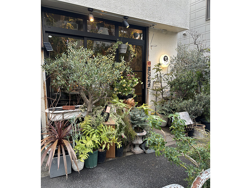 グリーンに囲まれてのtea time