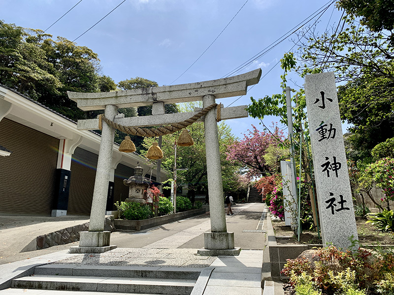 鎌倉・腰越の氏神さま「小動神社」で、海と歴史を感じる散歩