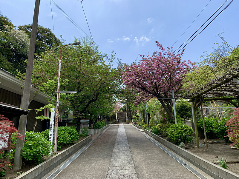 緑と花の彩りが参拝者を迎えてくれる参道