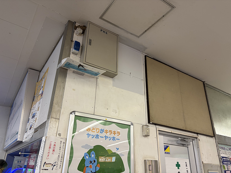 ツバメのおうち