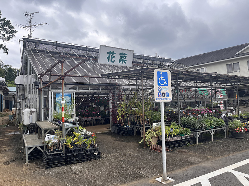 花屋「花菜」