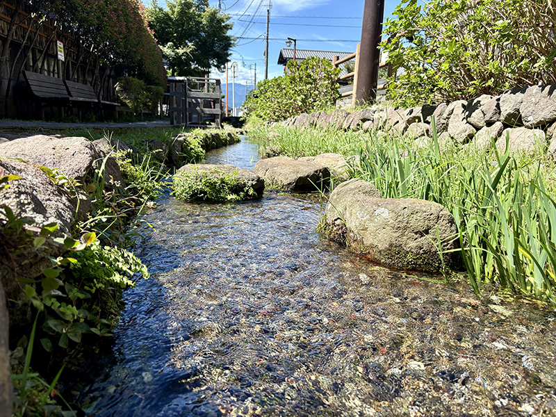 水底の小石まで透けて見える流れ