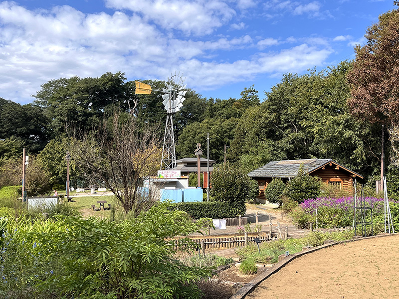 写真右は、ふれあいの森のハーブ園