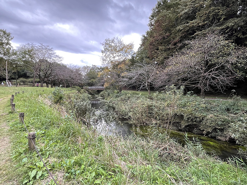 引地川